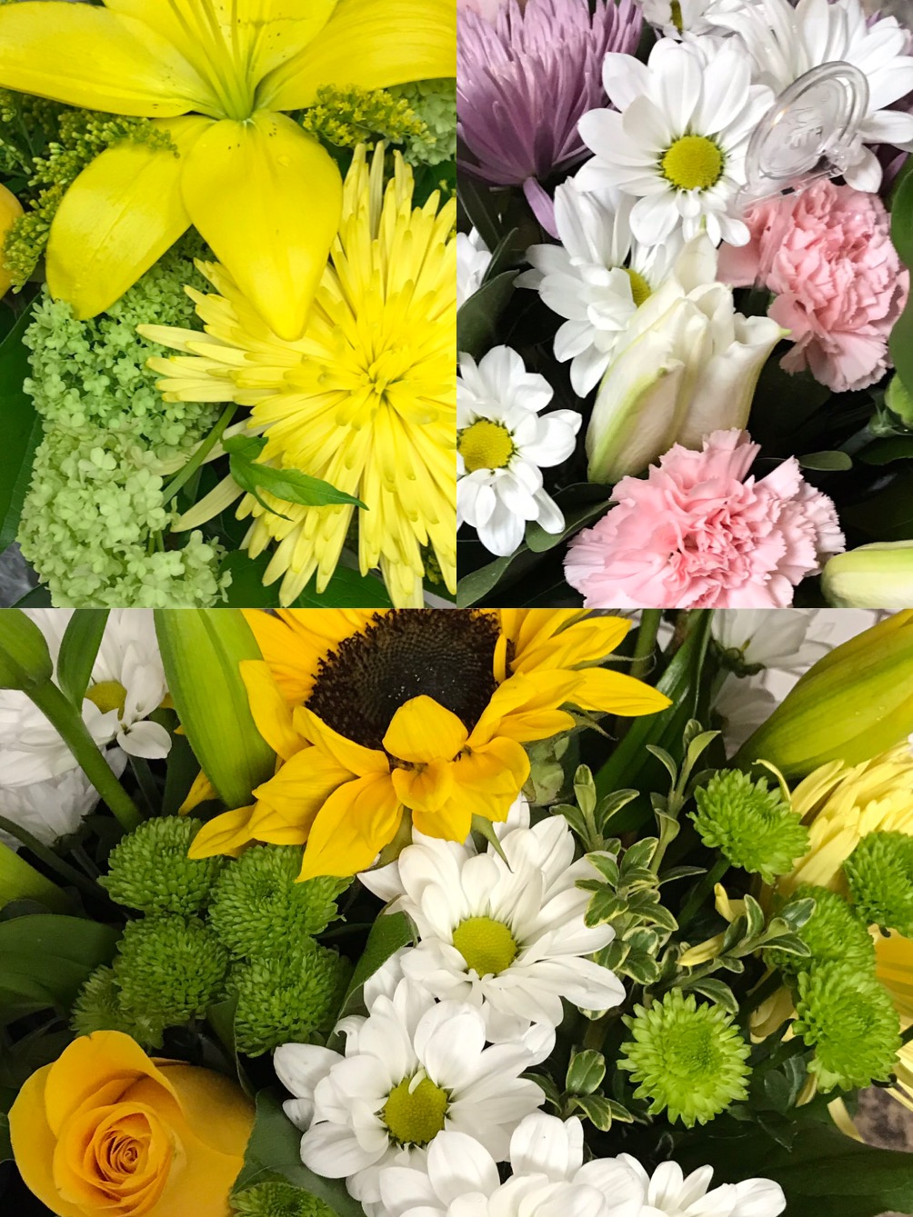 BelleRose Floral Boutique | 115a 1st Ave E, Rosetown, SK S0L 2V0, Canada | Phone: (306) 831-7673