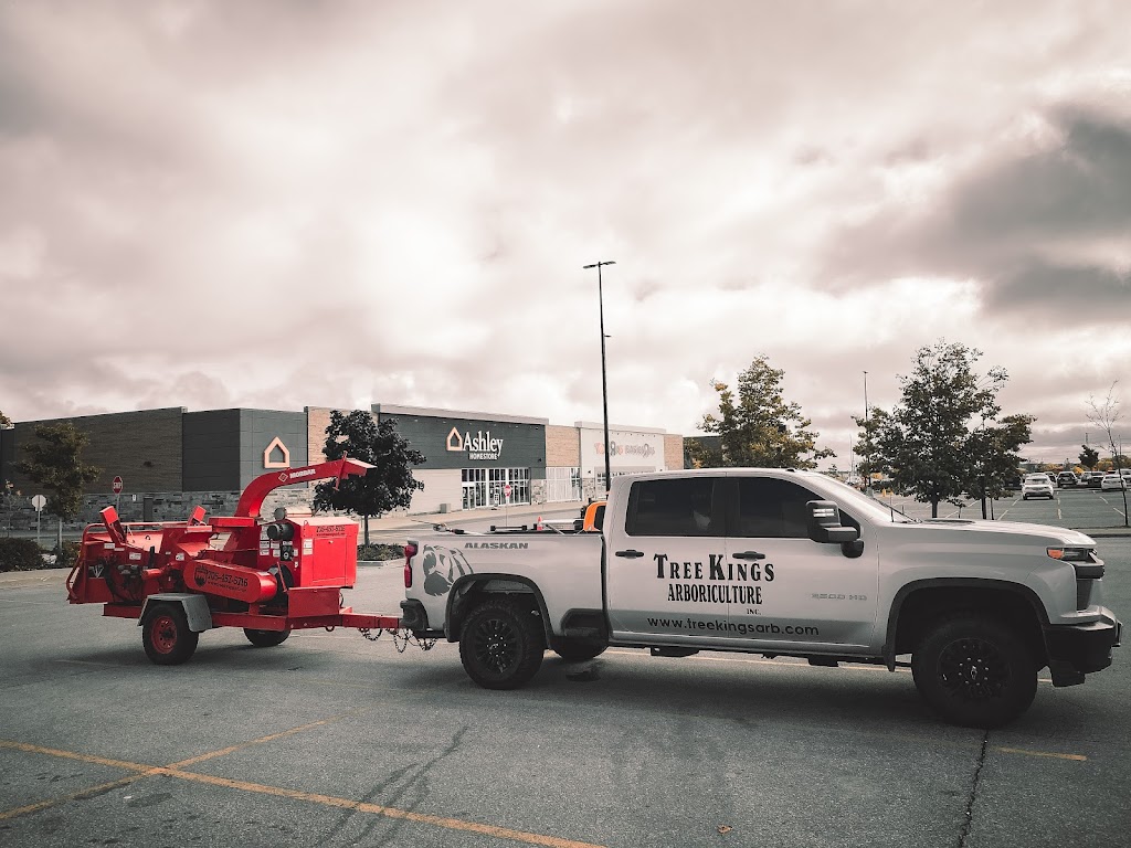 TreeKings Arboriculture Inc. | 1414 Caribou Rd, Minden Hills, ON K0M 1S0, Canada | Phone: (705) 457-5716