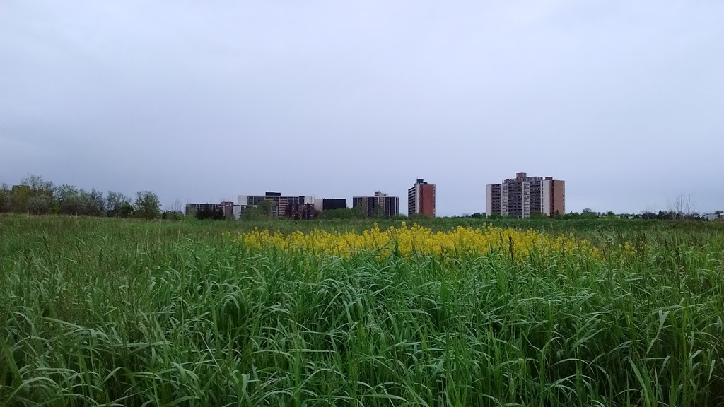 Springbank Meadows Park | 2210 Springbank Rd, Mississauga, ON L5H 3N5, Canada