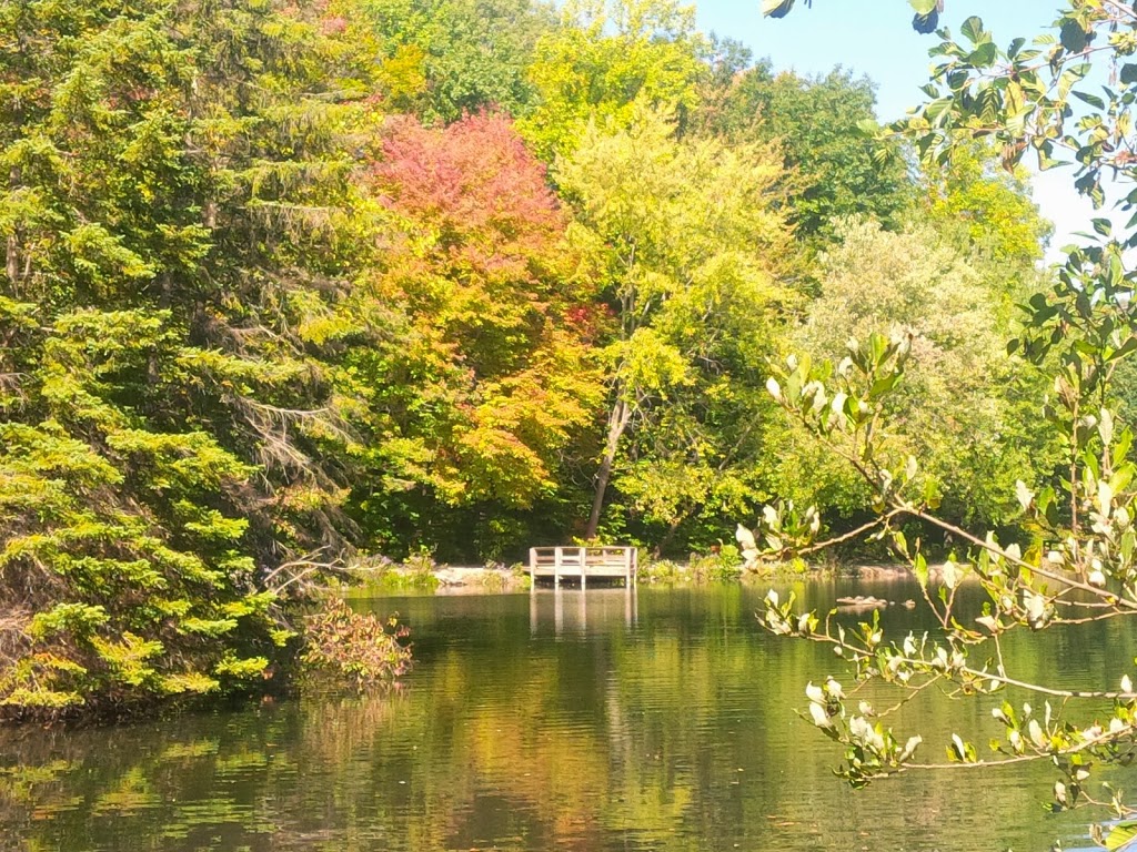 Saint Johns Conservation Area | 3101 Barron Rd, Fonthill, ON L0S 1E6, Canada | Phone: (905) 788-3135
