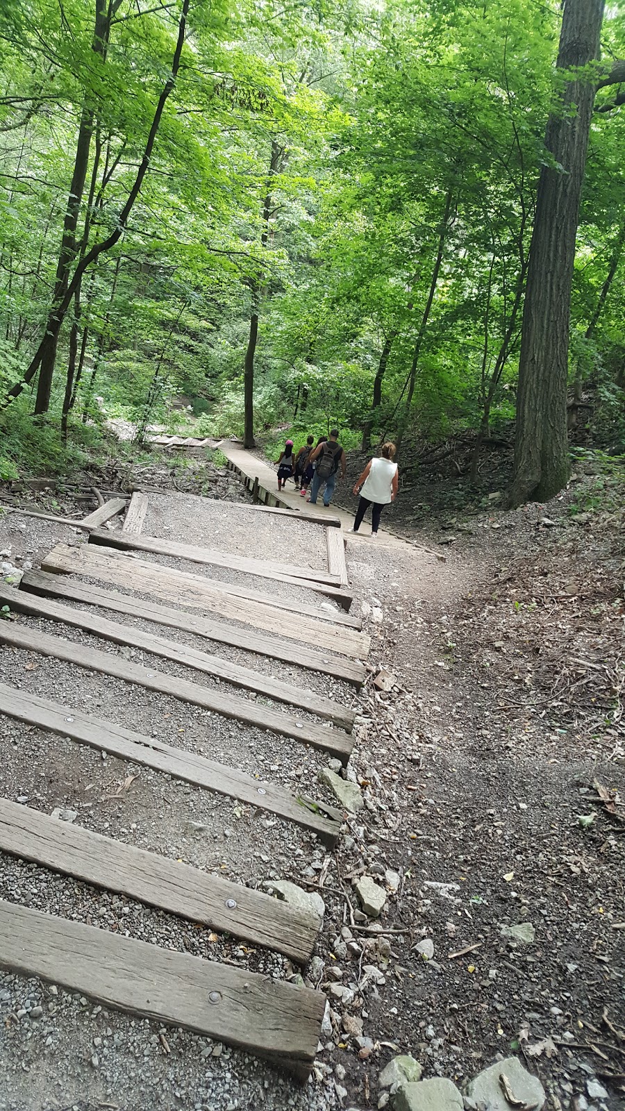 Upper Whirlpool Trails, Niagara River Whirlpool, Canada | 4013, 4009 Niagara Pkwy, Niagara Falls, ON L2E 3E8, Canada | Phone: (877) 642-7275