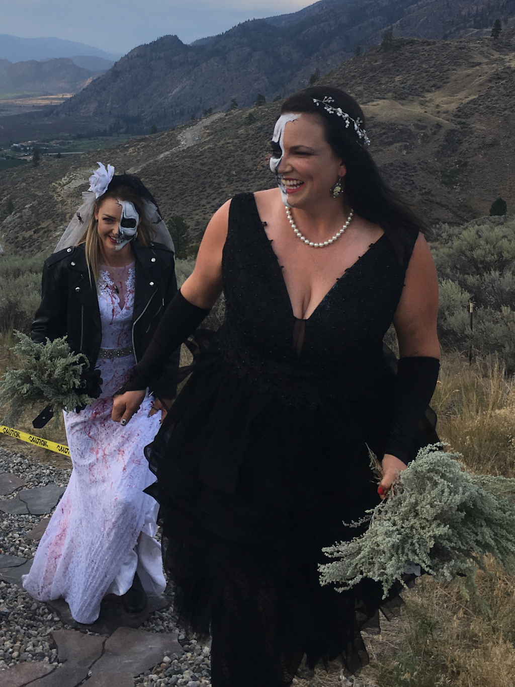 The Look Out | 130 Hallis Rd, Osoyoos, BC V0H 1V6, Canada | Phone: (250) 485-7082