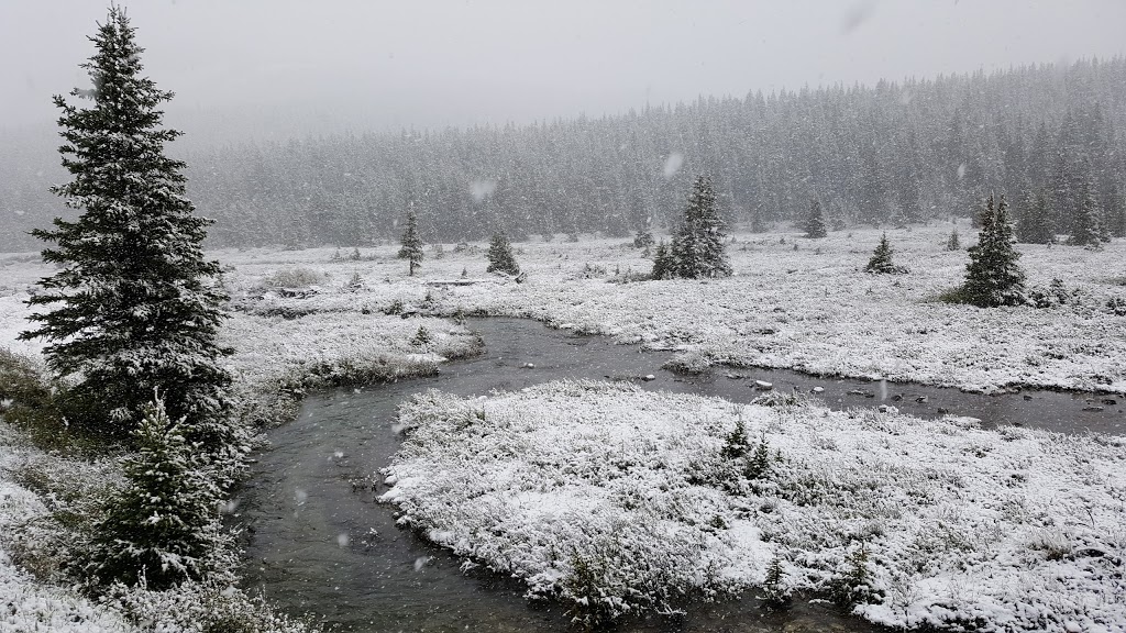 Tombstone Backcountry Campground | Bragg Creek, AB T0L 0K0, Canada | Phone: (403) 678-3136
