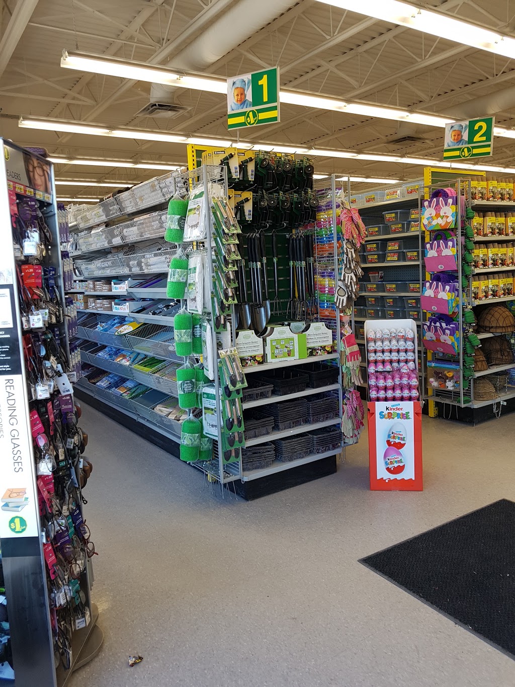 Dollarama - 1269 Jefferson Ave, Maples Garden Market, Winnipeg, MB R2P 1269 jefferson avenue brooklyn ny