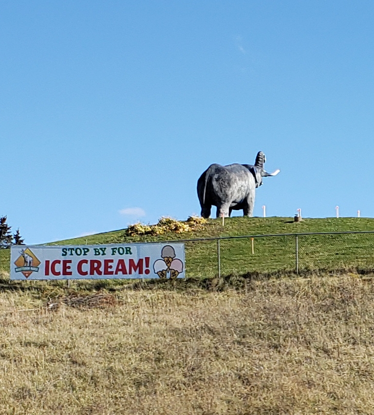 Mastodon Mini Golf | Mastodon Ridge - Upper Deck, 87 Main St W, Stewiacke, NS B0N 2J0, Canada | Phone: (902) 639-2345