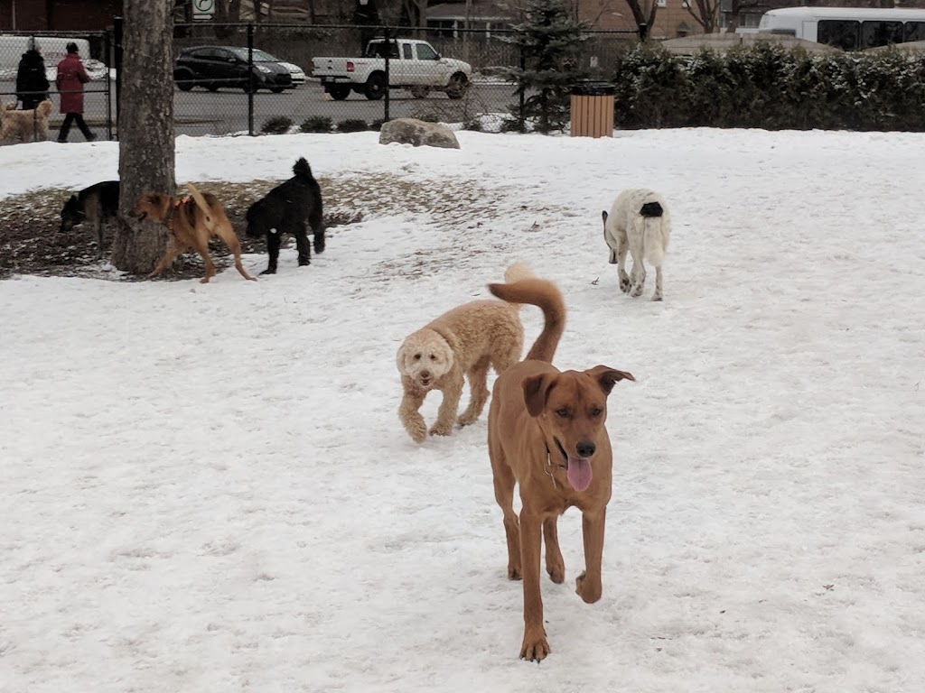 Montreal West dog park | 17 Chem. Ainslie, Montréal-Ouest, QC H4X 1V3, Canada | Phone: (514) 872-0311