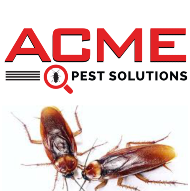 Pest Control Milton - Acme Pest Solutions | 1244 Ellenton Crescent, Milton, ON L9T 6V3, Canada | Phone: (416) 453-2444