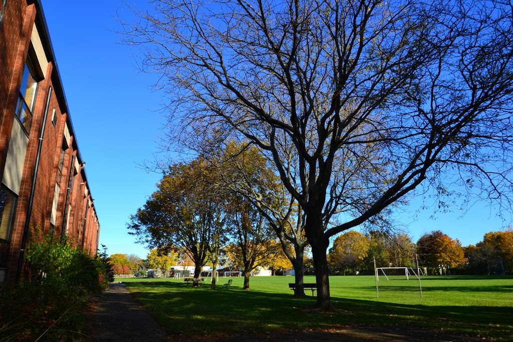 Niagara Falls Collegiate Institute | 2 OMalley Dr, St. Catharines, ON L2N 6N7, Canada | Phone: (905) 984-6427