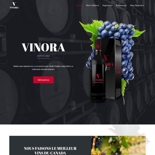 Web Creation Kino - Nouveau Concept de Site Web! | 148 Rue du Collège, Labelle, QC J0T 1H0, Canada | Phone: (819) 686-1772