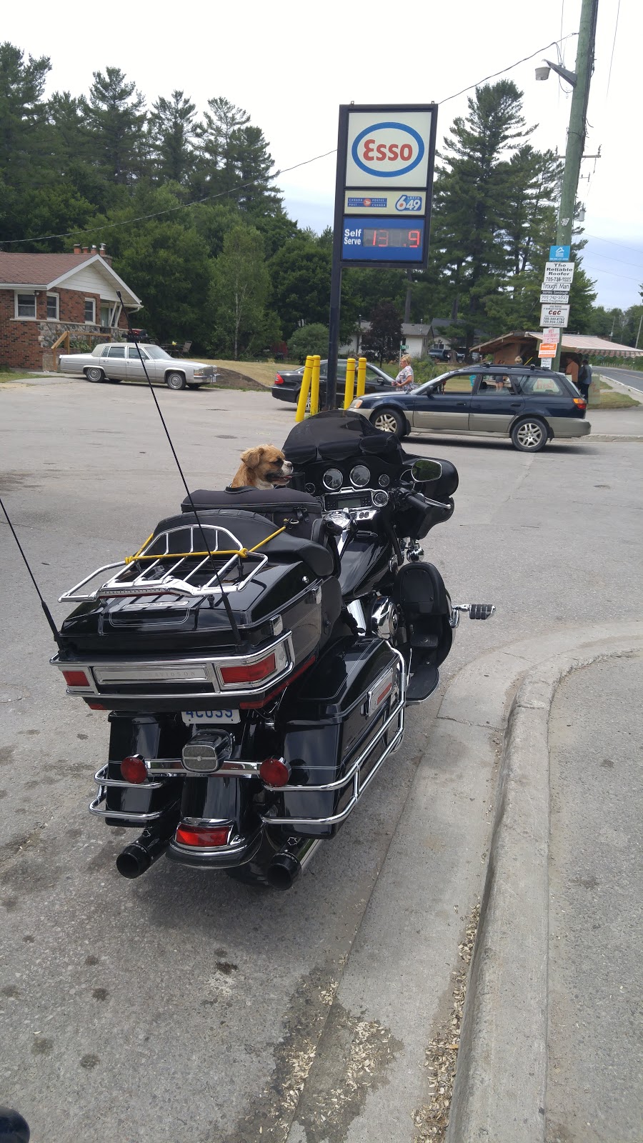Esso | 7561 ON-35, Norland, ON K0M 2L0, Canada | Phone: (705) 454-2015