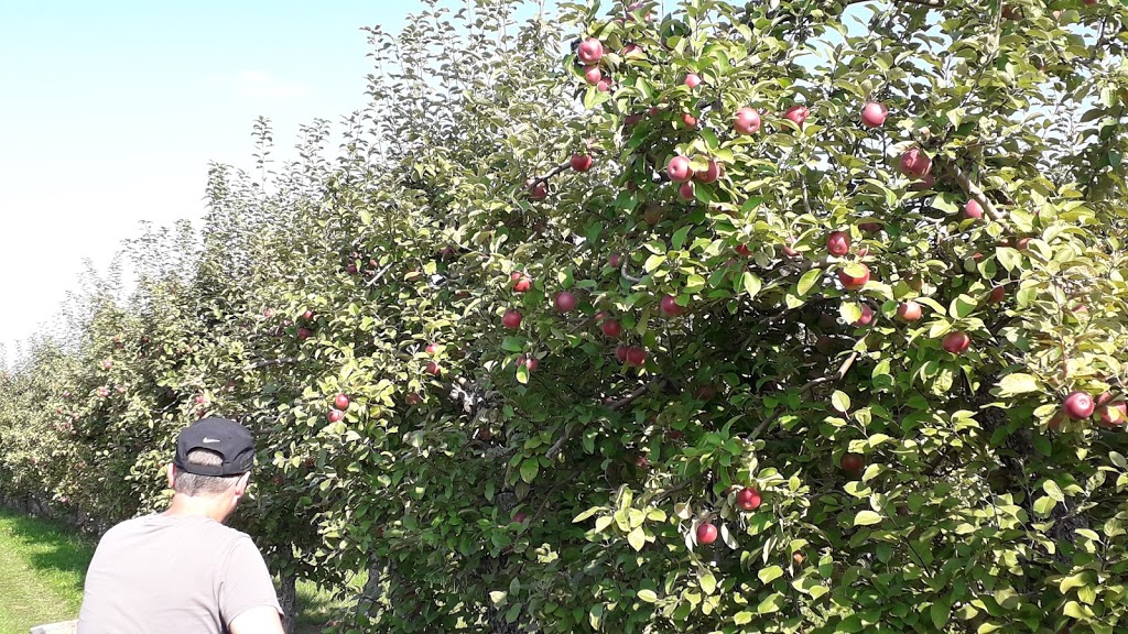 Orchard The Old Barn | 1245 Rang Double, Rougemont, QC J0L 1M0, Canada | Phone: (450) 469-4087