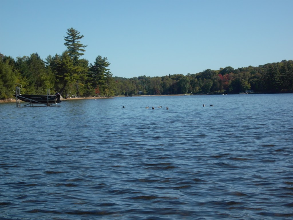 Clansman Motel & Cottages | 16457 HWY35, Algonquin Highlands, ON K0M 1J1, Canada | Phone: (705) 489-2330