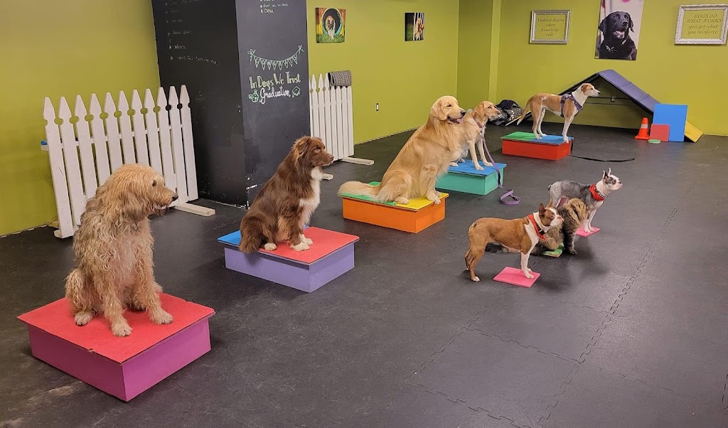 In Dogs We Trust | 1509 Commissioners Rd E, London, ON N6M 1C6, Canada | Phone: (226) 663-0558