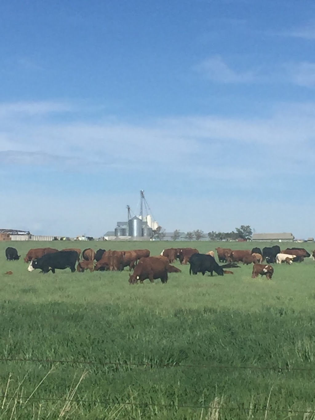 Monarch Feeders North & South Lot | 1M0, Township Rd 102, Monarch, AB T0L 1M0, Canada | Phone: (403) 824-3407