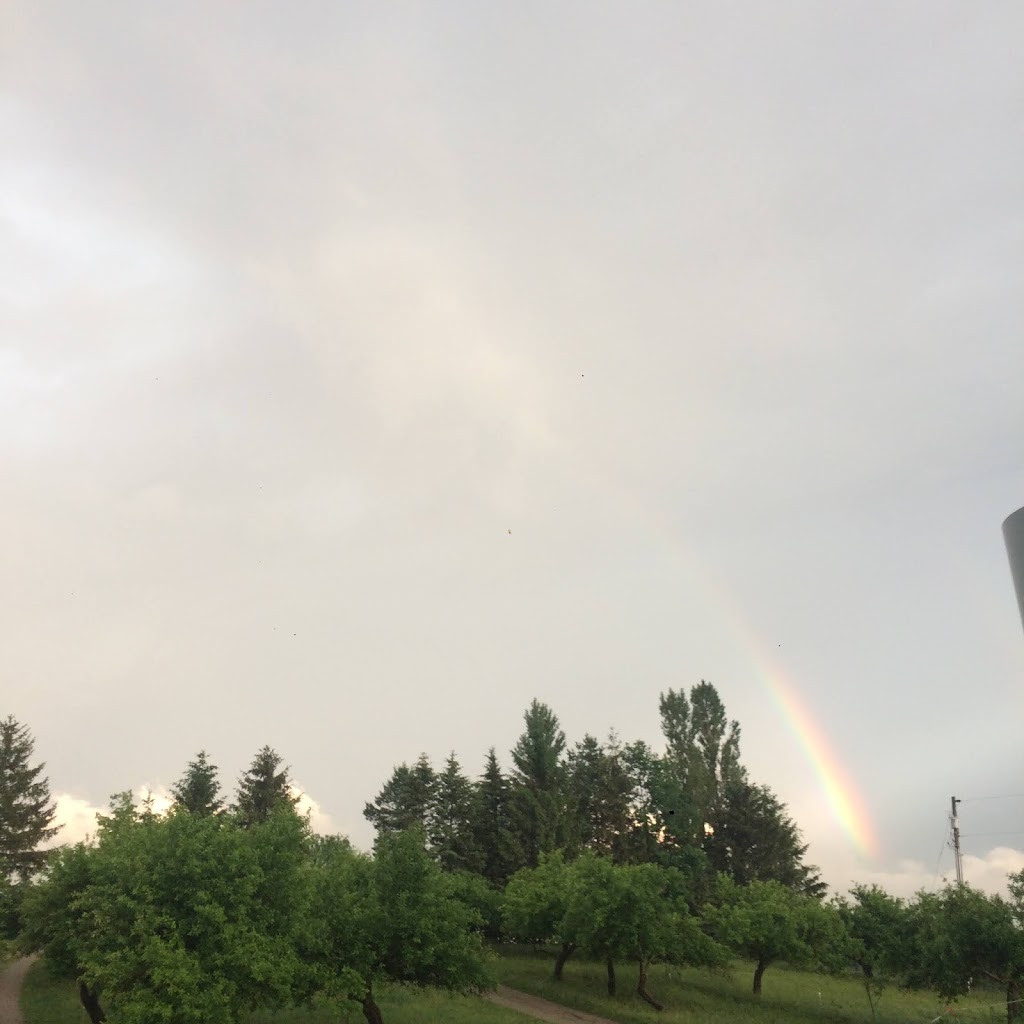 Peturrsons Ravine | Saskatoon, SK S7N 2G7, Canada