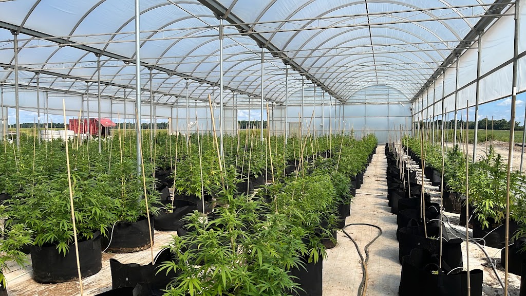 Lakeshore Farms | 3193 Lakeshore Rd, Dunnville, ON N1A 2W8, Canada | Phone: (905) 978-3680