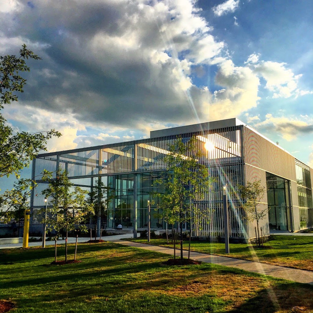 Humber School for Writers | 3199 Lake Shore Blvd W, Etobicoke, ON M8V 1K8, Canada | Phone: (416) 675-6622 ext. 3449