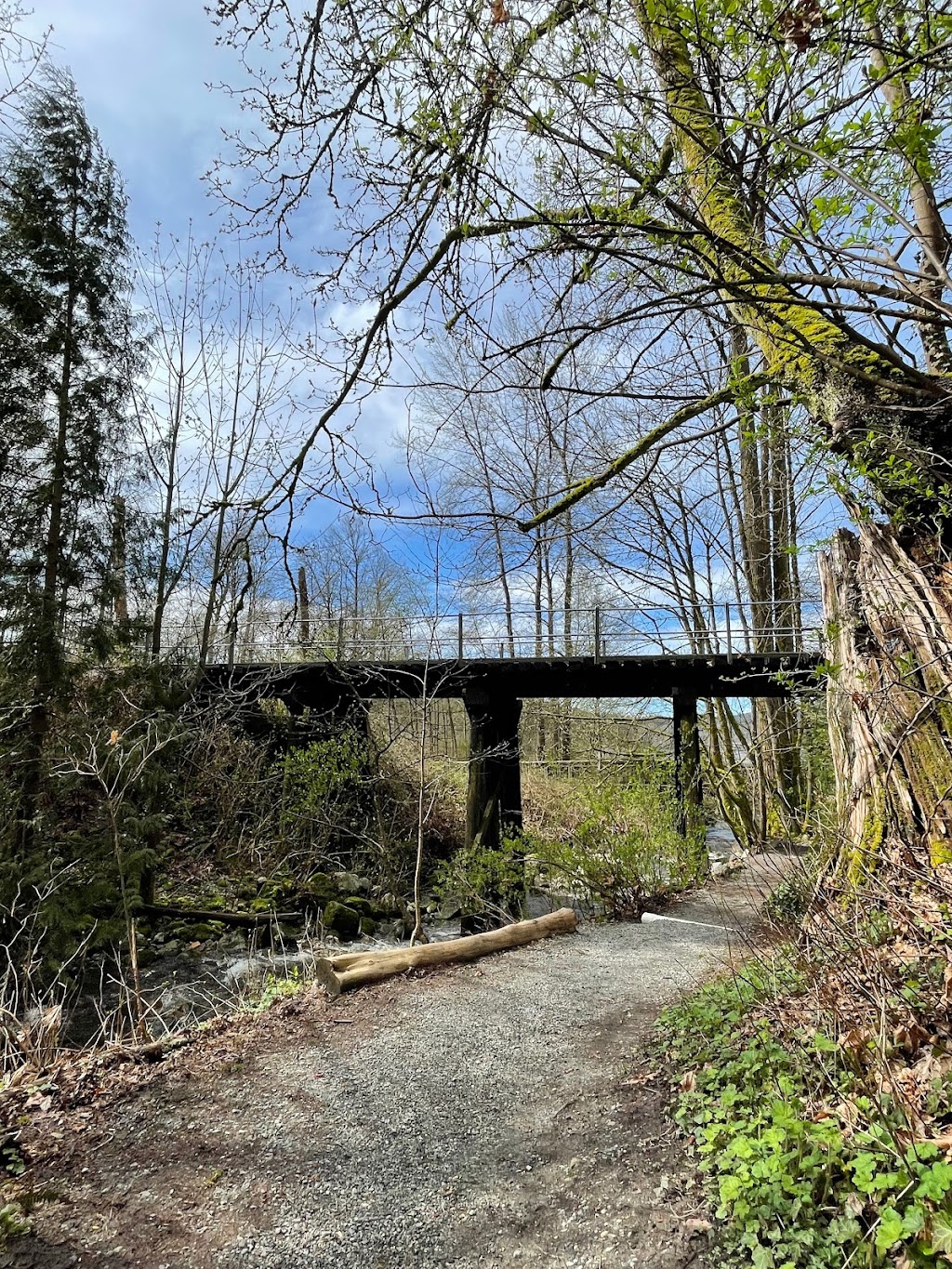 Port Moody Ecological Society (Noons Creek Hatchery) | 340 Ioco Rd, Port Moody, BC V3H 2V7, Canada | Phone: (604) 469-9106