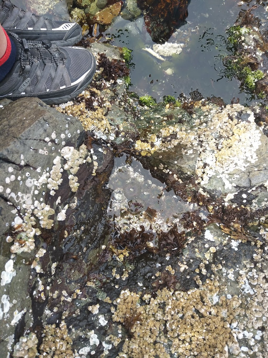 Fillinger Waterfront Park 1 | 5100 Fillinger Crescent, Nanaimo, BC V9V 1H8, Canada | Phone: (250) 754-4251