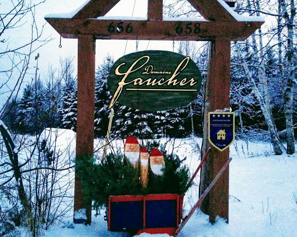 Domaine Faucher | 656 Rang Marlow, Saint-Théophile, QC G0M 2A0, Canada | Phone: (418) 597-3749