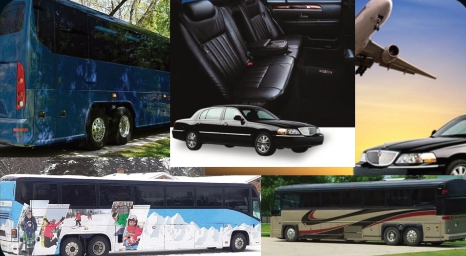 Lincolns & Longhorns Inc. Charter & Tours | 59133 PTH 12 BX 26, Anola, MB R0E 0A0, Canada | Phone: (204) 914-3770
