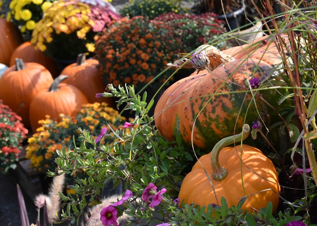 Au Coin Du Jardin | 2501 Chemin Jean-Adam, Saint-Sauveur, QC J0R 1R7, Canada | Phone: (450) 227-5523