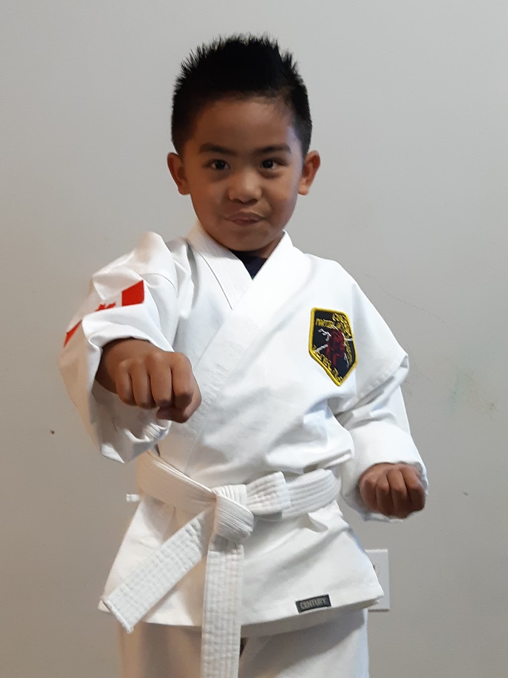 Energy Martial Arts Academy | 375 Kingston Rd #200, Pickering, ON L1V 1A3, Canada | Phone: (905) 250-4444