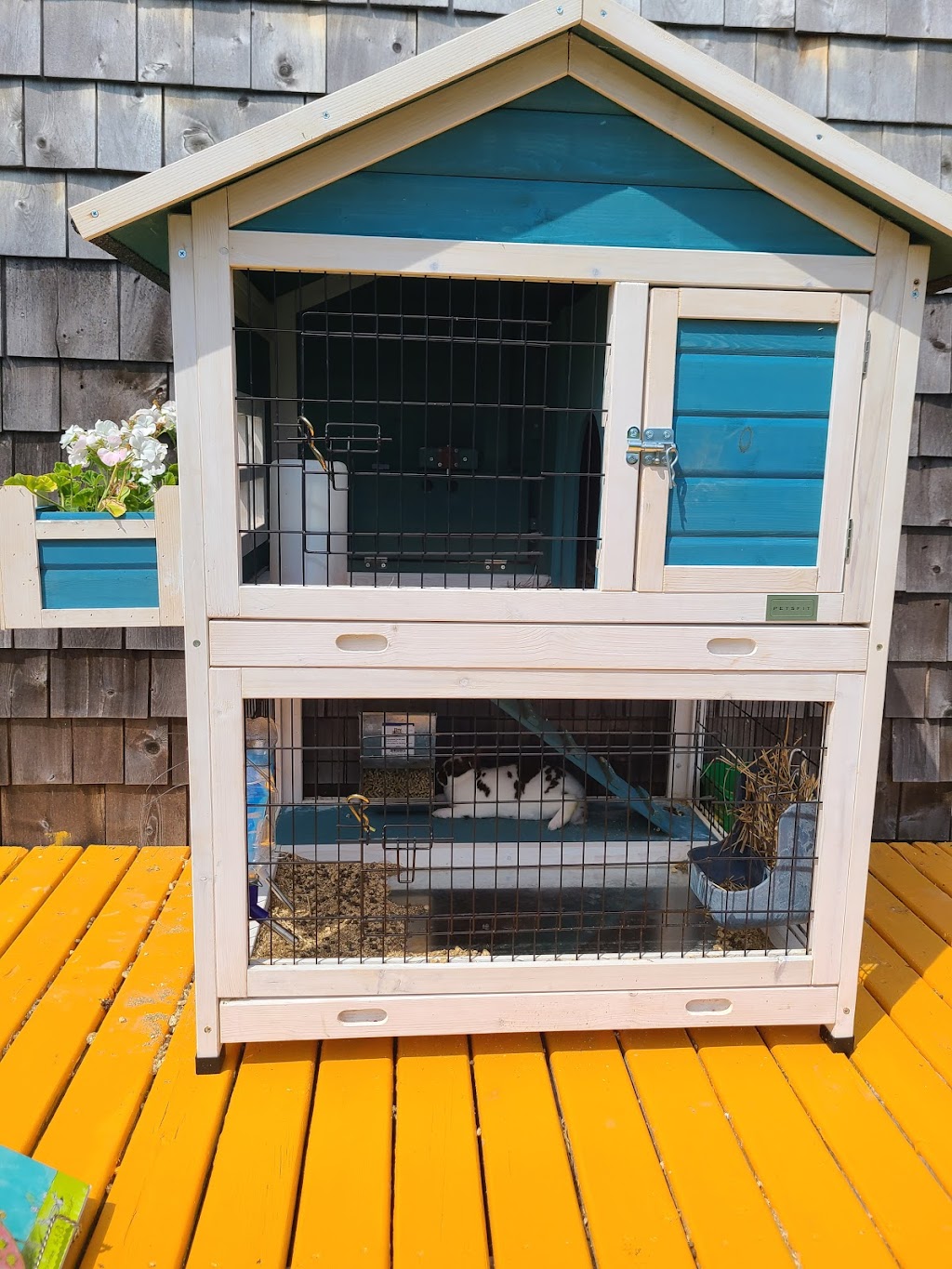 Mabel Murples Book Shoppe & Dreamery | 286 Allen Rd, River John, NS B0K 1N0, Canada | Phone: (902) 495-7295
