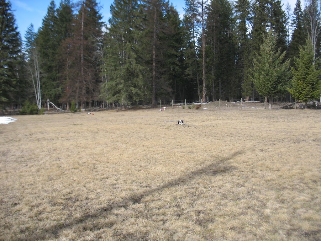Richlands Community Cemetery | 14 Hammond Rd, Cherryville, BC V0E 2G3, Canada | Phone: (250) 503-1617