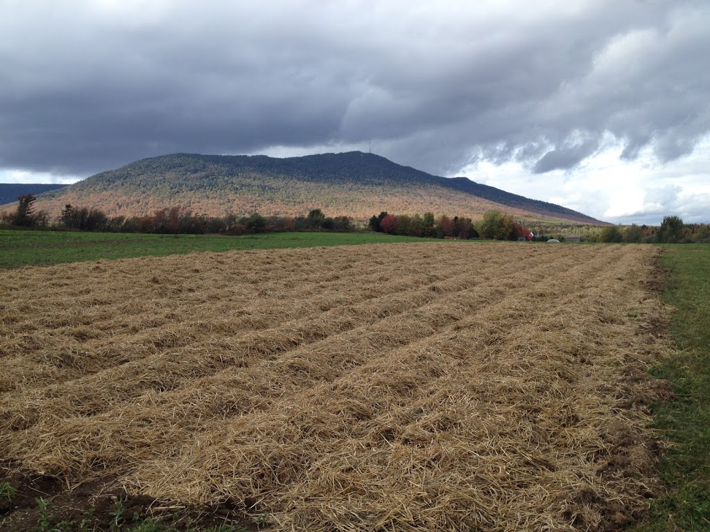 Ferme Terre et Vent | 139 Route du Parc, Notre-Dame-des-Bois, QC J0B 2E0, Canada | Phone: (819) 888-2715