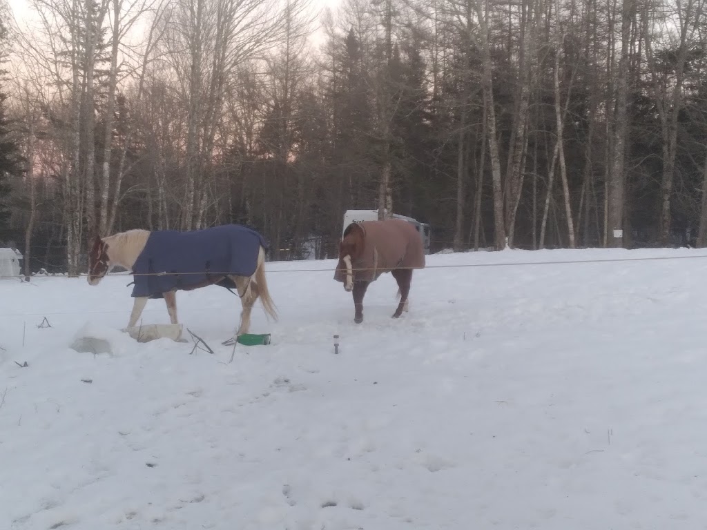 Mckeen Mingarry Farm | 7570 NS-348, Sherbrooke, NS B0J 3C0, Canada | Phone: (902) 318-5711