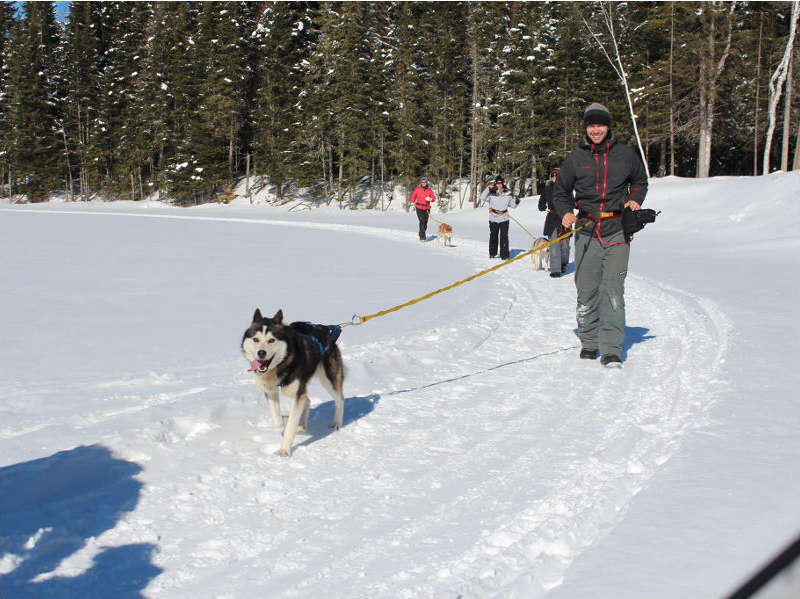 Adventure Four Seasons | 4781 Chemin de la Rivière N, Rivière-Rouge, QC J0T 1T0, Canada | Phone: (514) 554-5091