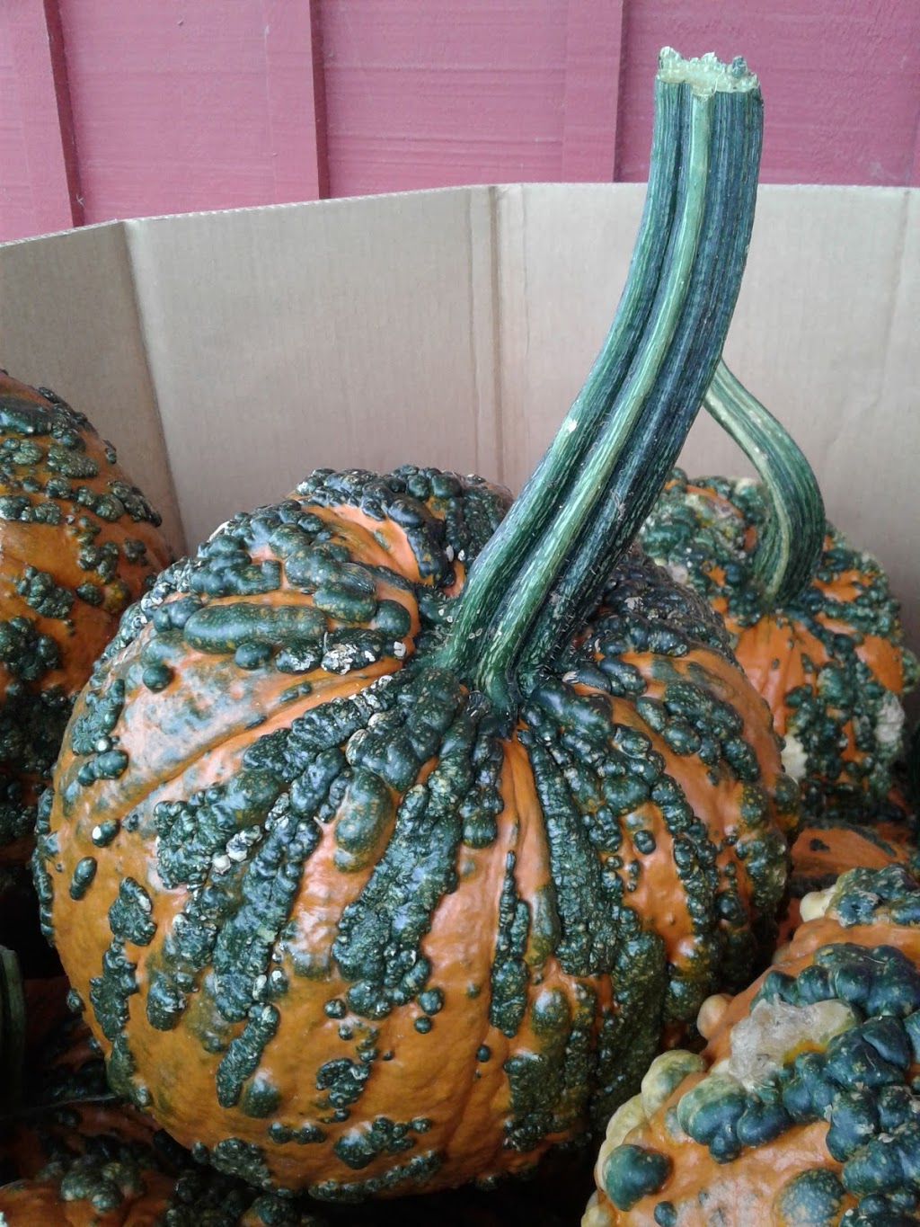 Bres Fresh Market | 224276 Ostrander Rd, Tillsonburg, ON N4G 4H1, Canada | Phone: (519) 983-3924