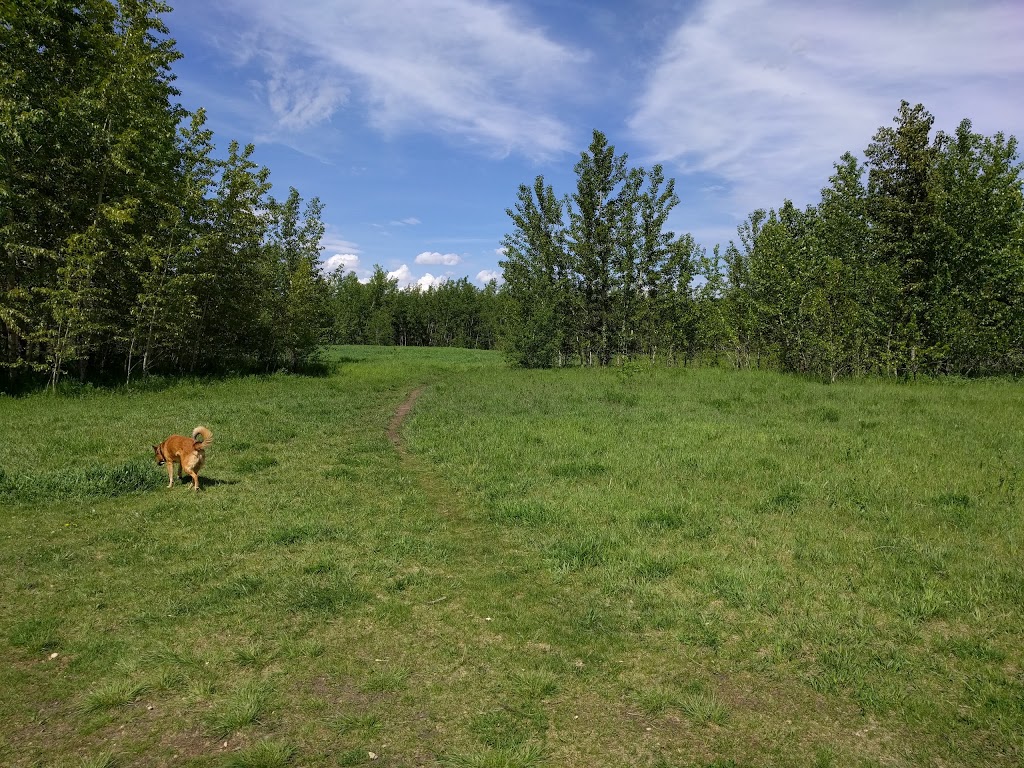Buena Vista Park | 13210 Buena Vista Rd NW, Edmonton, AB T5R 5R2, Canada | Phone: (780) 442-5311