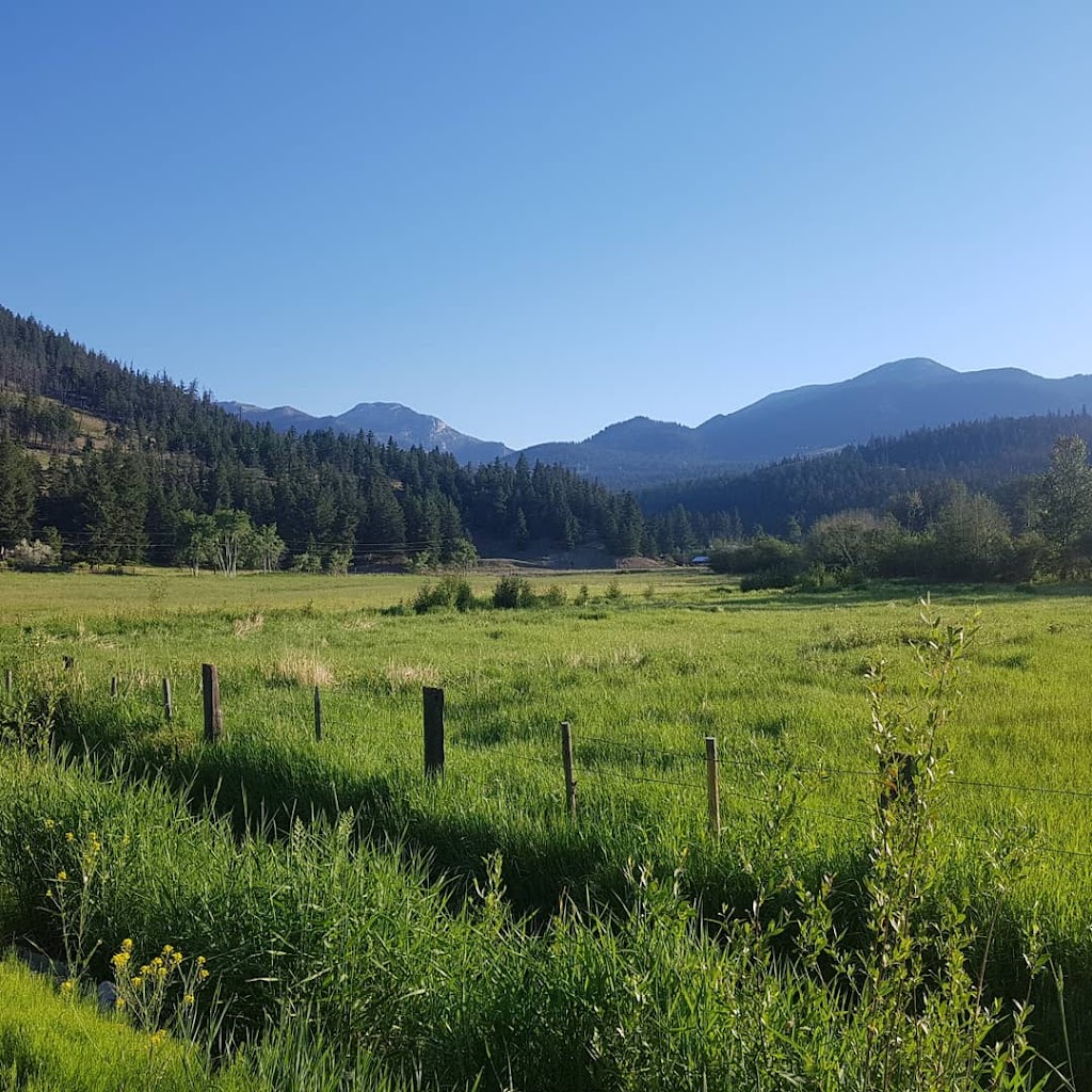 Downing Provincial Park | Pavilion, BC V0K 2H0, Canada | Phone: (250) 320-9305