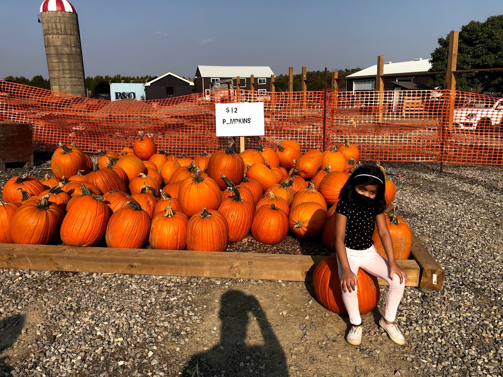 Downeys Apple Farm | 13707 Heart Lake Rd, Inglewood, ON L7C 2K7, Canada | Phone: (905) 838-4777
