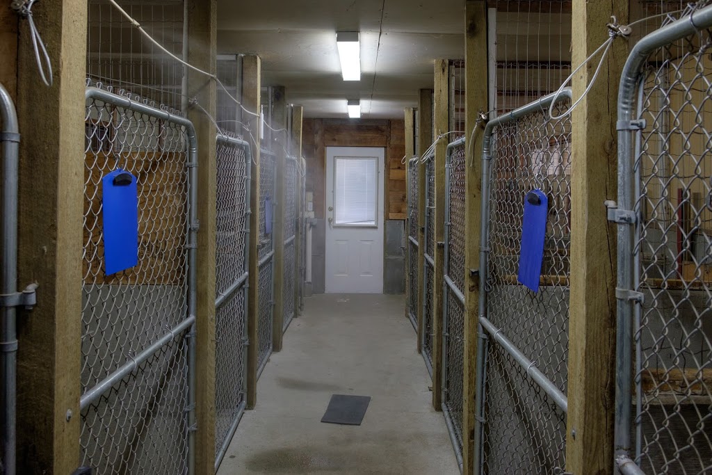 Happy Haven Kennels | 19682 Richardson Rd, Pitt Meadows, BC V3Y 1Z1, Canada | Phone: (604) 465-5790