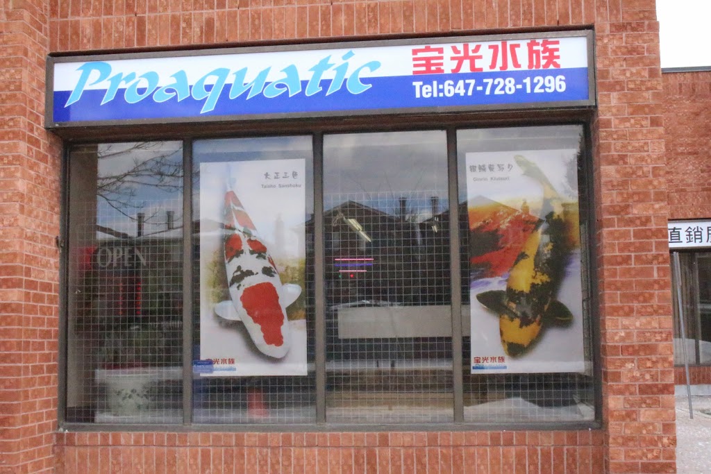 Proaquatic - Aquarium Shop - Specializing in Goldfish and Japane | 585 Middlefield Rd #12a, Scarborough, ON M1V 4Y5, Canada | Phone: (647) 728-1296