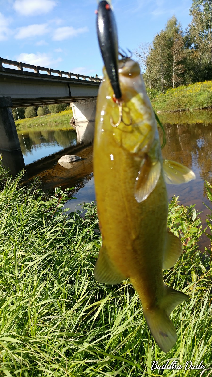 McDowell Tract - Grand River Conservation Authority | Grand Valley, ON L0N 1G0, Canada | Phone: (519) 928-2832