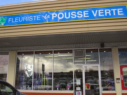 Fleuriste La Pousse Verte | 3280 Ch Ste-Foy, Québec, QC G1X 1S1, Canada | Phone: (418) 659-3770