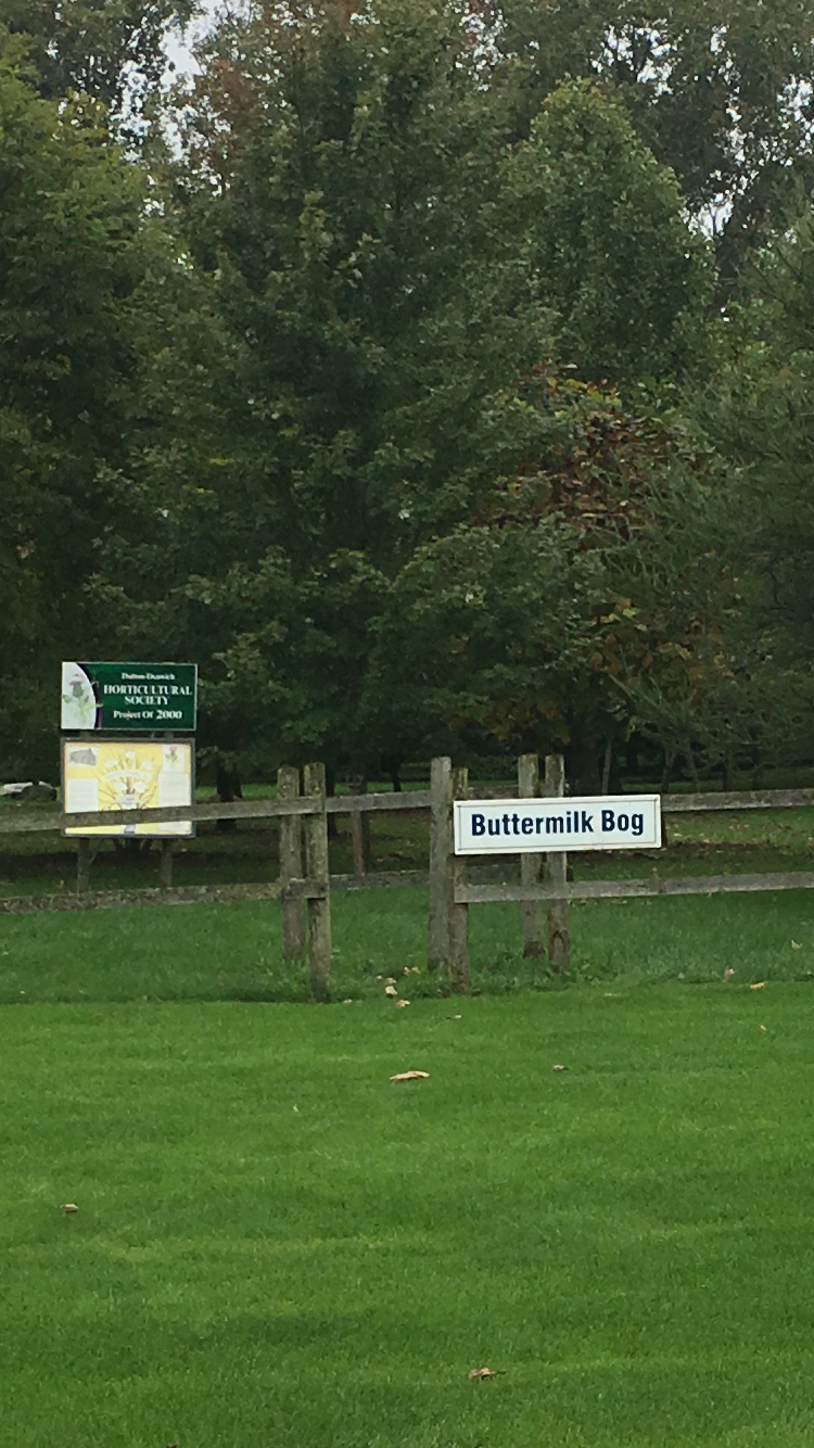 Buttermilk Bog | Dutton/Dunwich, ON N0L, Canada