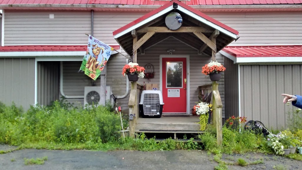 Lietash Canine Academy | 1502 Hwy #202, Mount Uniacke, NS B0N 1Z0, Canada | Phone: (902) 866-2273