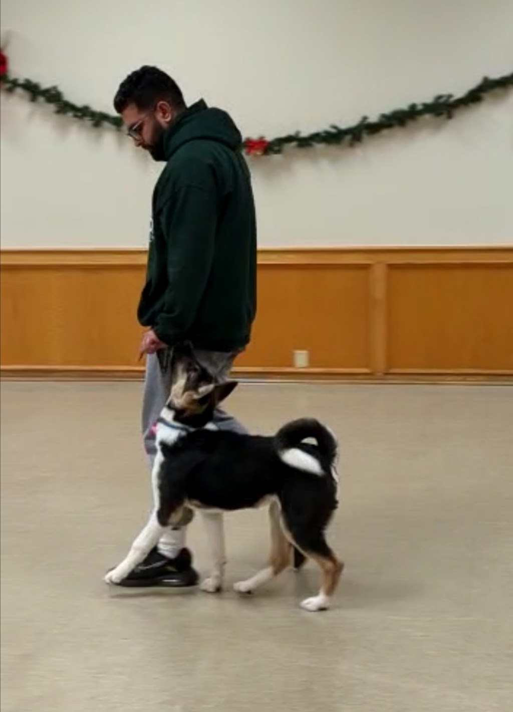 K9 Union Training Academy | 647 Crimson Crescent, Oshawa, ON L1J 8C9, Canada | Phone: (647) 889-4275