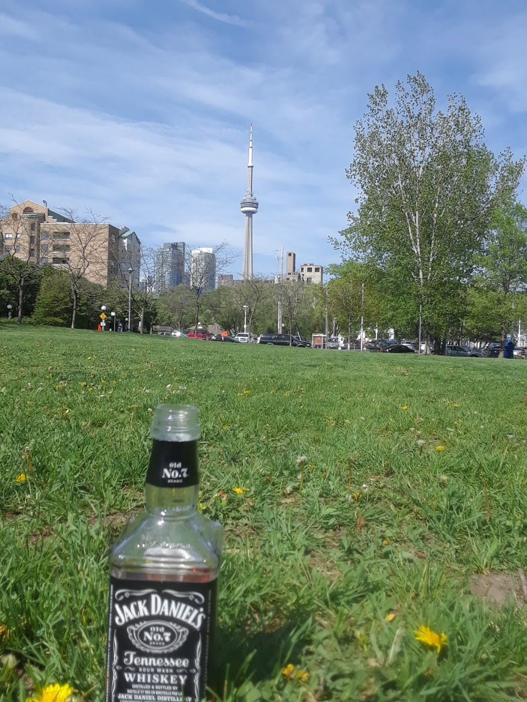 Stadium Road Park | 10 Stadium Rd, Toronto, ON M5V 3P4, Canada | Phone: (416) 338-4386