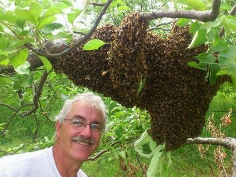Les Fermes Miracle Farms | 2034 Chemin de la Rivière-La Guerre, St-Anicet, QC J0S 1B0, Canada | Phone: (514) 830-9640