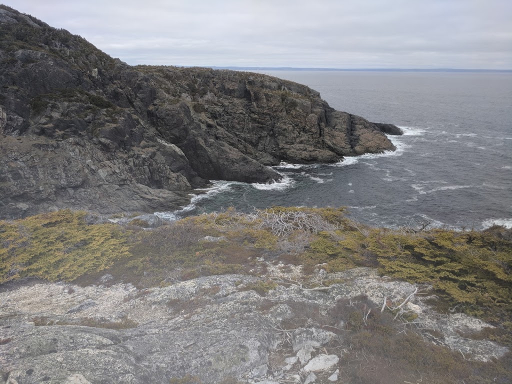 east coast trail | Cripple Cove Loop, Pouch Cove, NL A0A 3L0, Canada