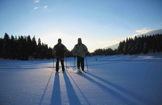 Falcon Cove RV Park | 85101 MB-1, East Braintree, MB R0E 0L0, Canada | Phone: (204) 471-1144