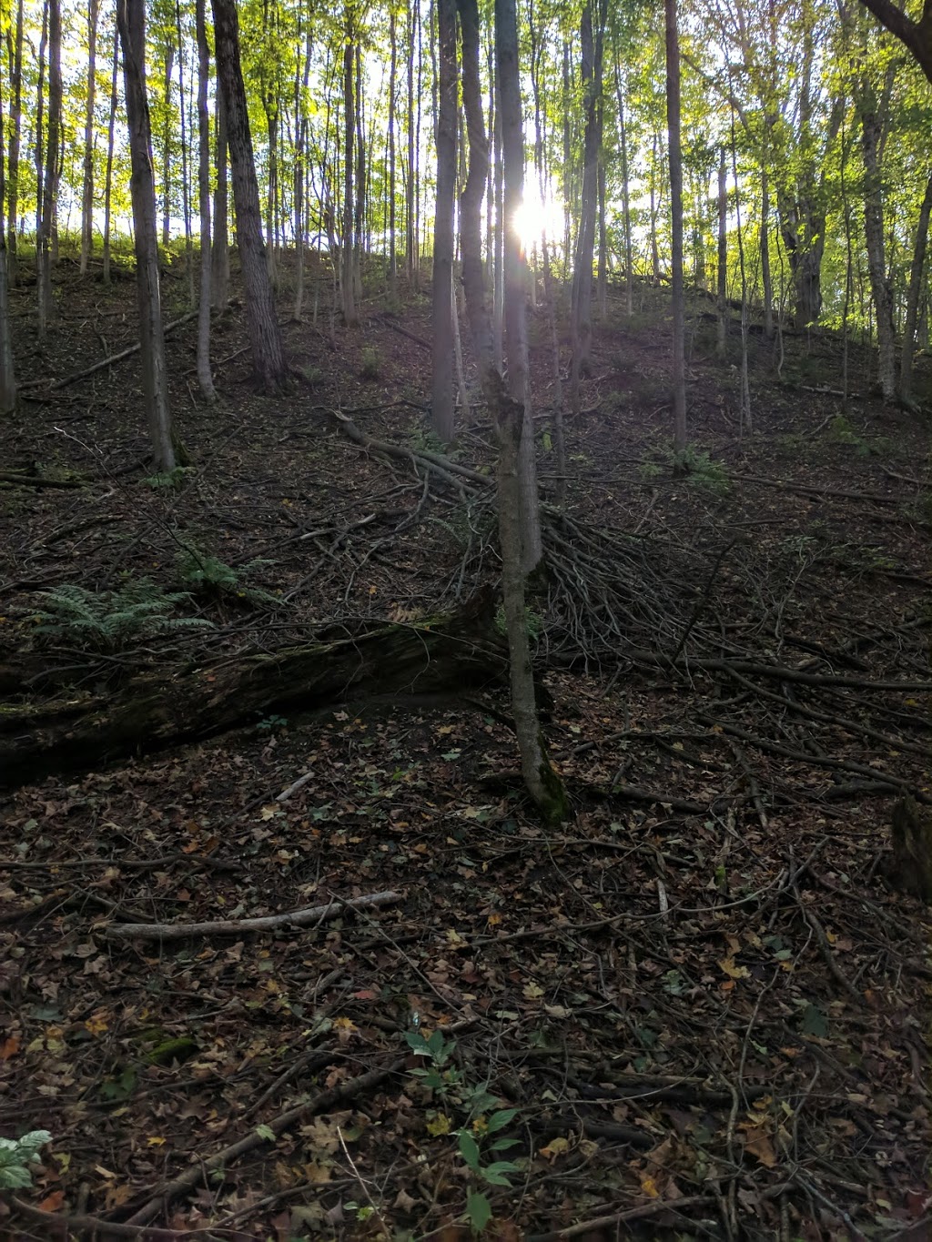 Conservation Lands | Mono Adjala Townline, Orangeville, ON L9W 2Z2, Canada | Phone: (416) 661-6600