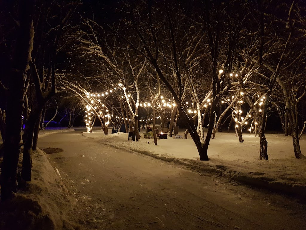 RiverOak Ice Skating Trail | 2900 Yorks Corners Rd, Metcalfe, ON K0A 2P0, Canada | Phone: (613) 212-0077
