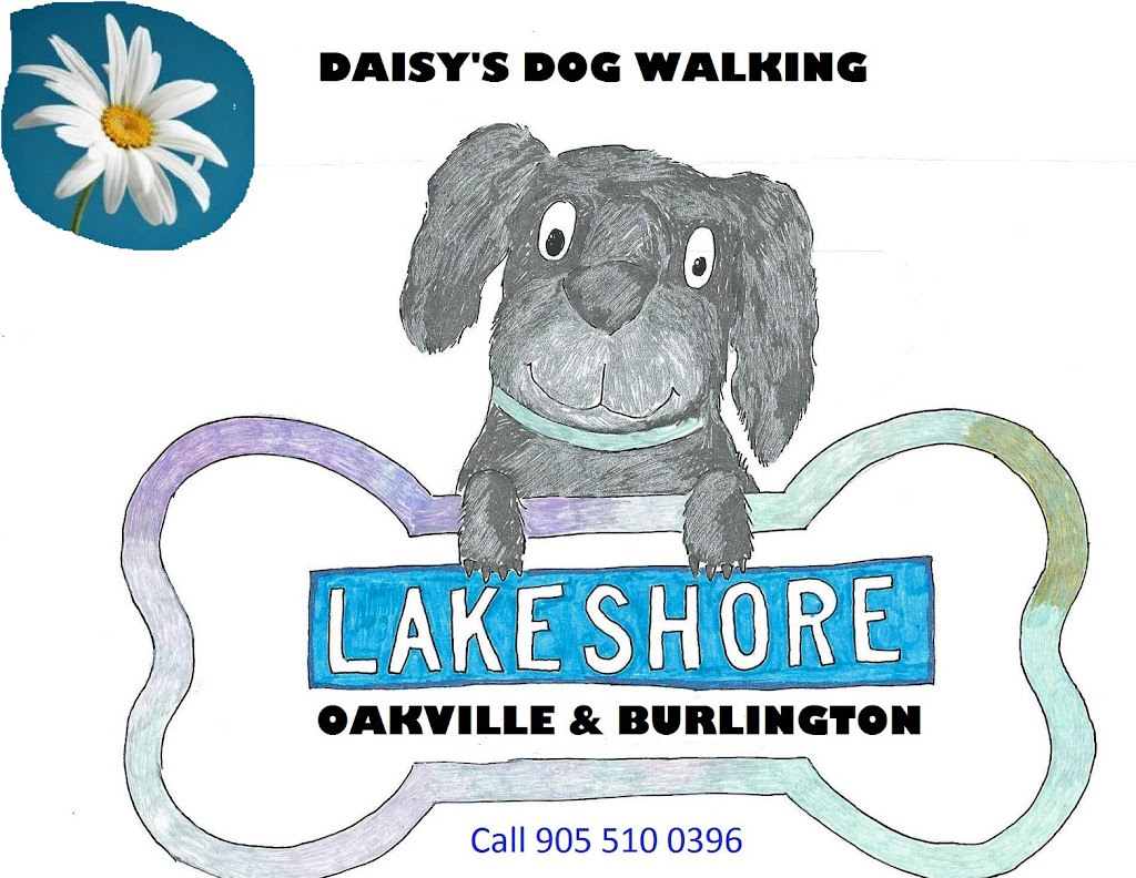 Daisydogwalking.ca | point of interest | 177 Boxley Rd, Burlington, ON L7L 4S5, Canada | 9055100396 OR +1 905-510-0396
